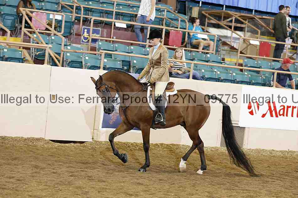 Proof 12yn_09775
