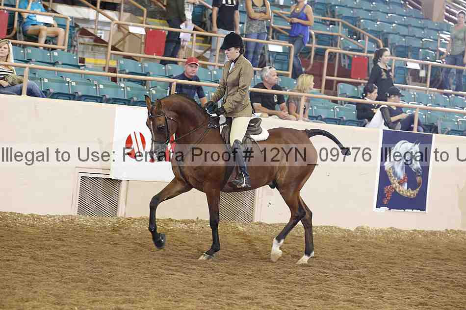 Proof 12yn_09776