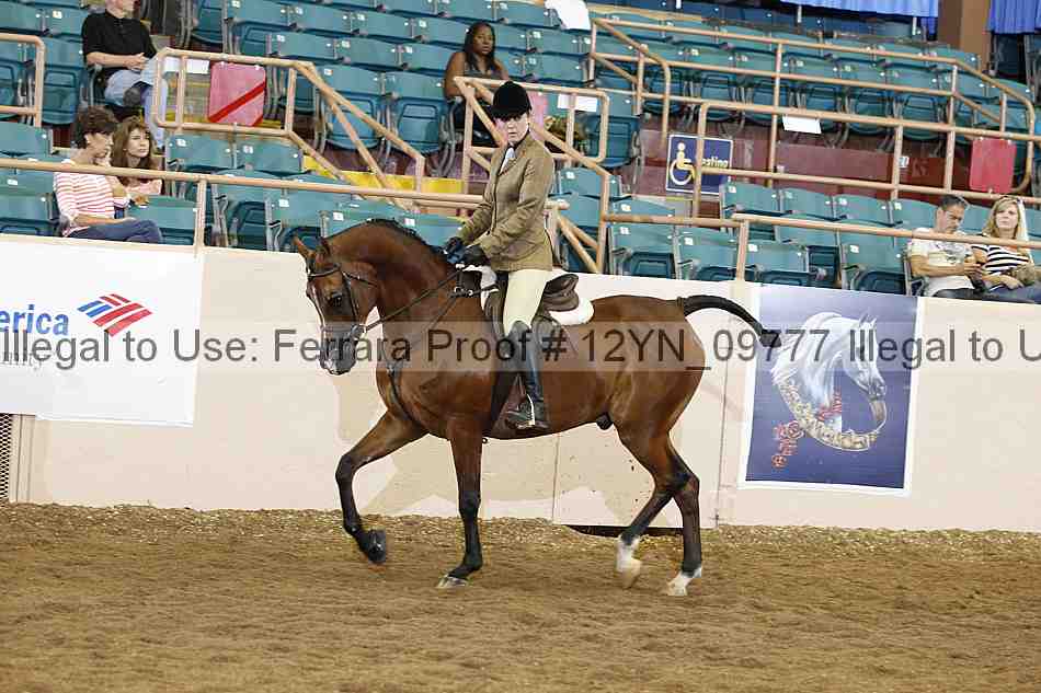 Proof 12yn_09777