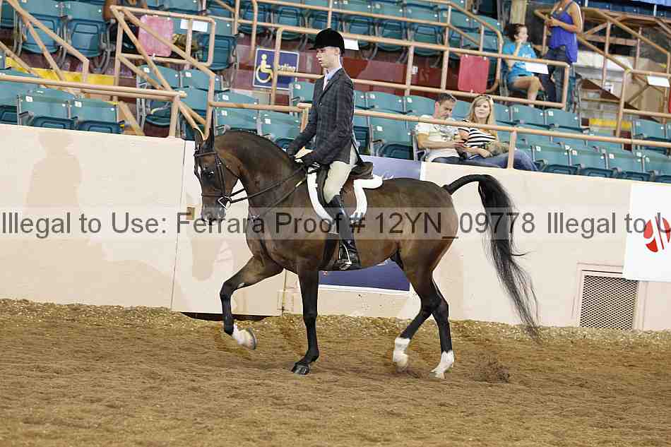 Proof 12yn_09778