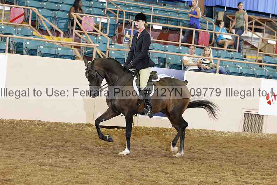 Proof 12yn_09779