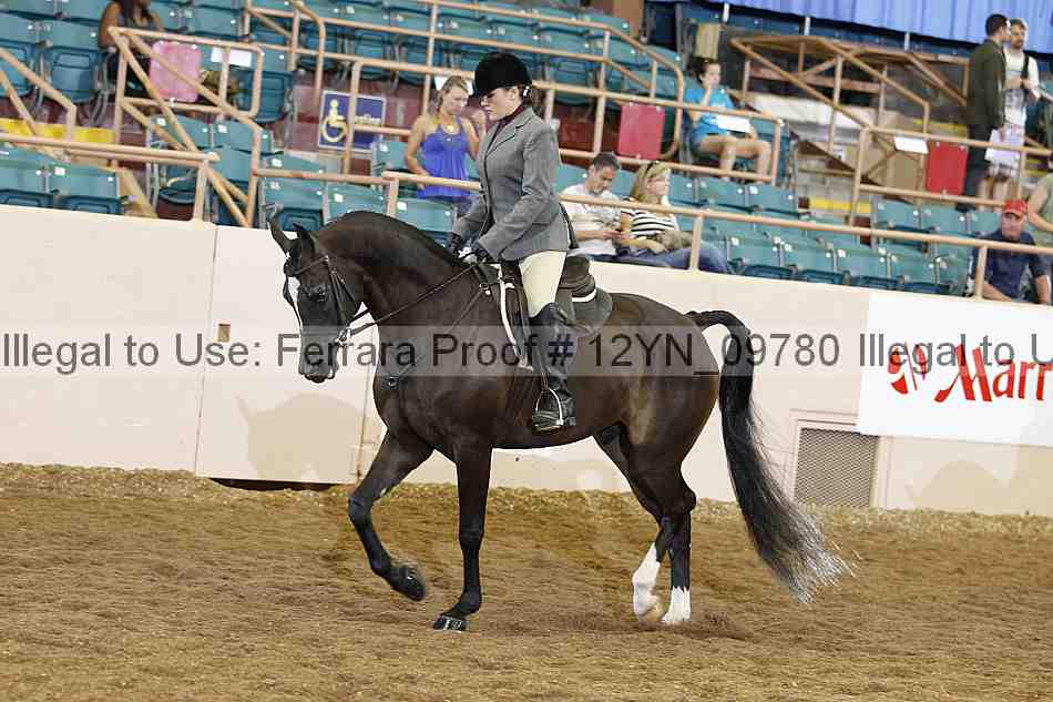 Proof 12yn_09780