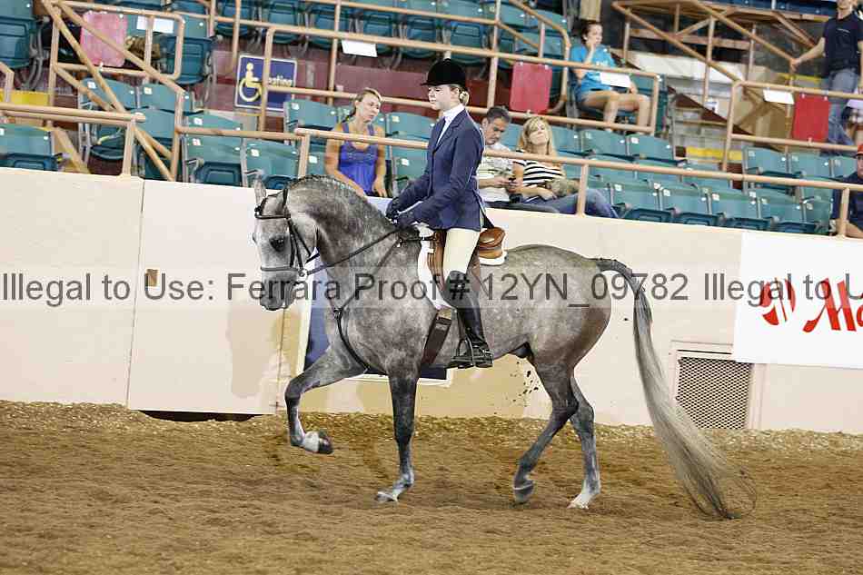 Proof 12yn_09782