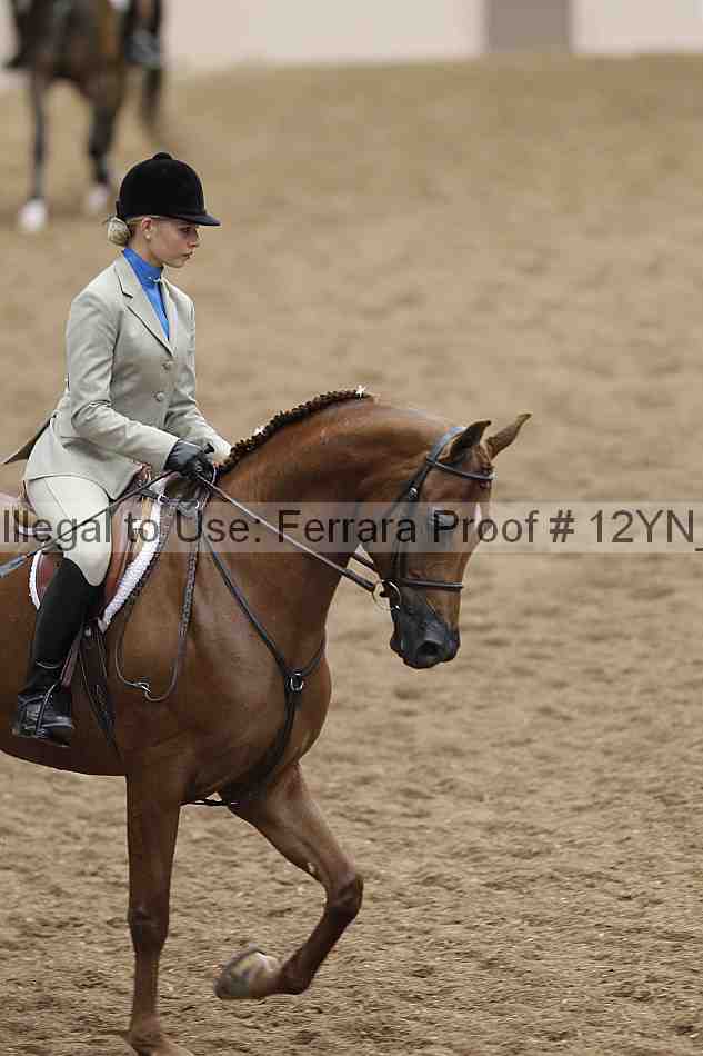 Proof 12yn_09783