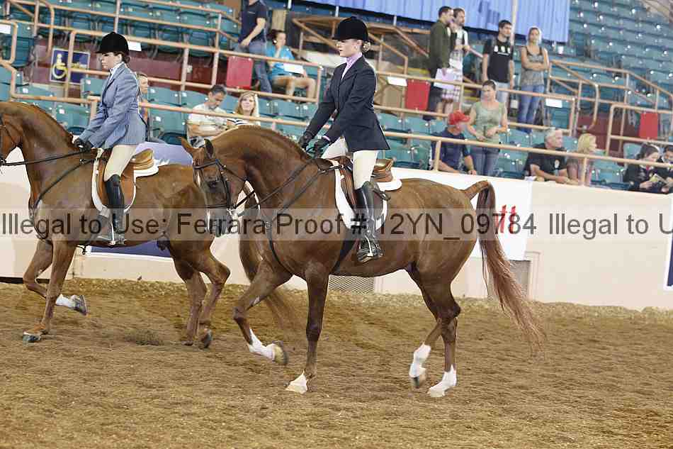 Proof 12yn_09784