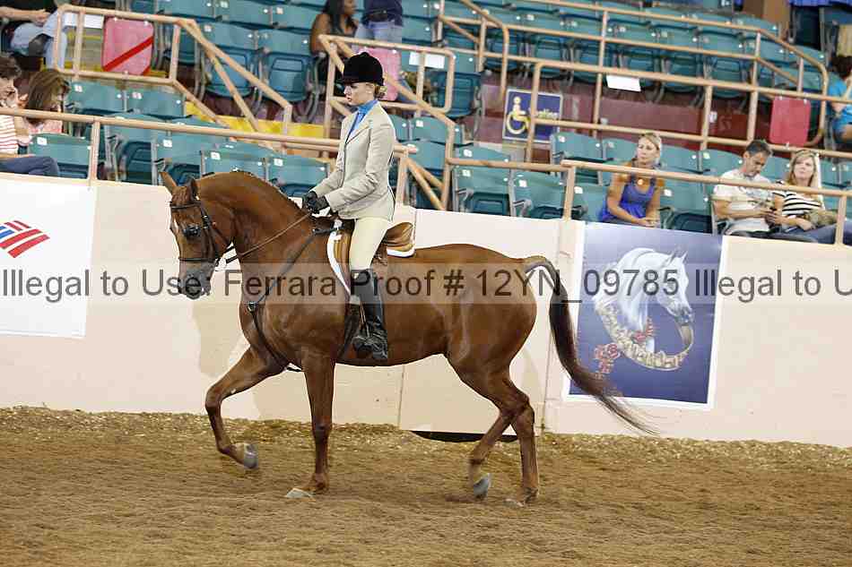 Proof 12yn_09785