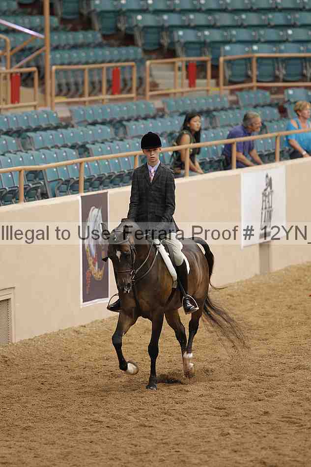 Proof 12yn_09786