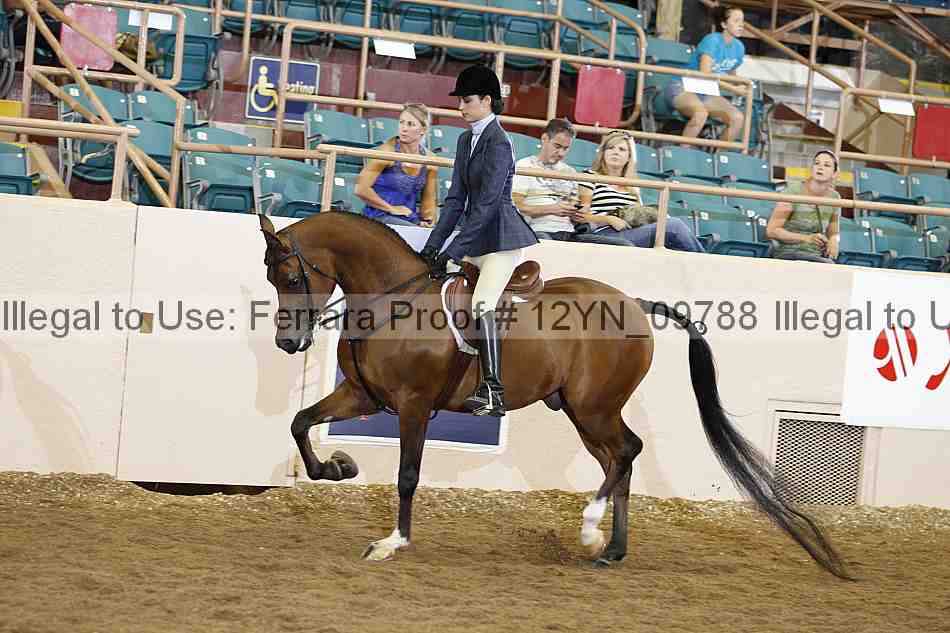 Proof 12yn_09788