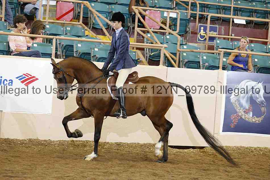Proof 12yn_09789