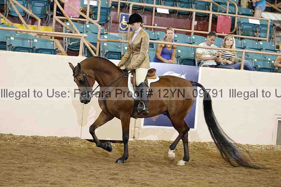 Proof 12yn_09791