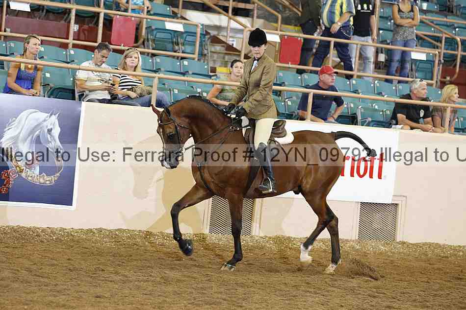 Proof 12yn_09792