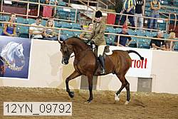 12yn_09792 proof