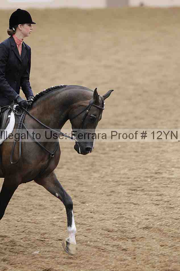 Proof 12yn_09793