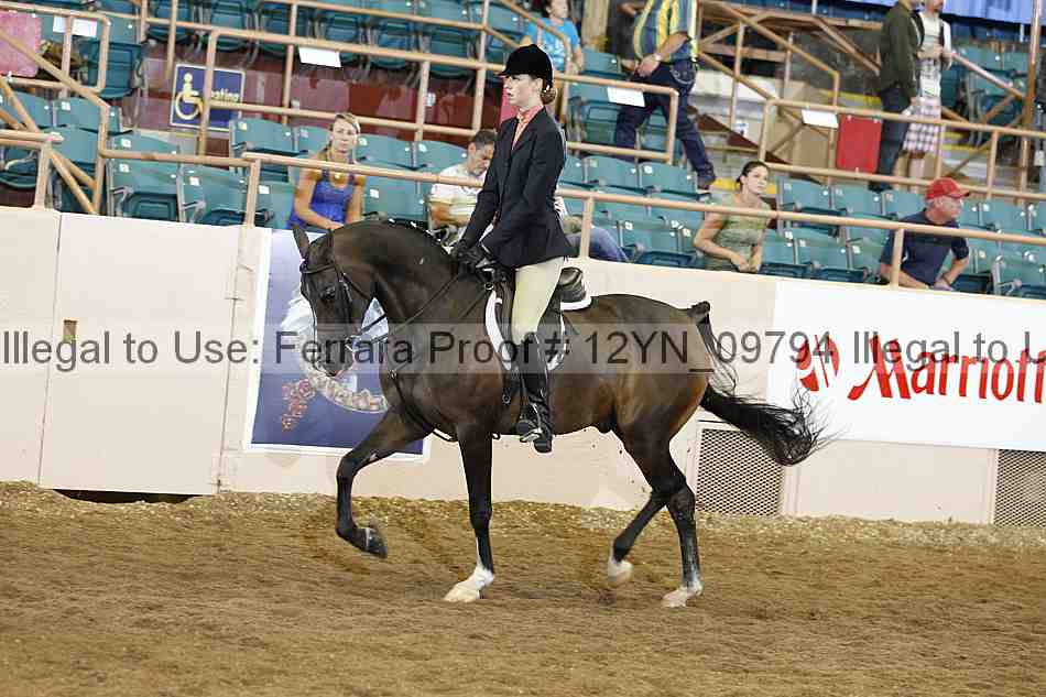 Proof 12yn_09794