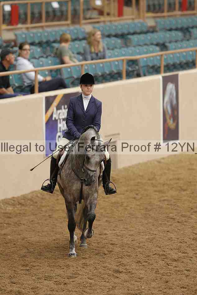 Proof 12yn_09795