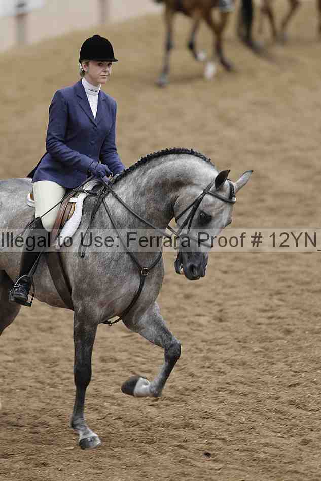 Proof 12yn_09796