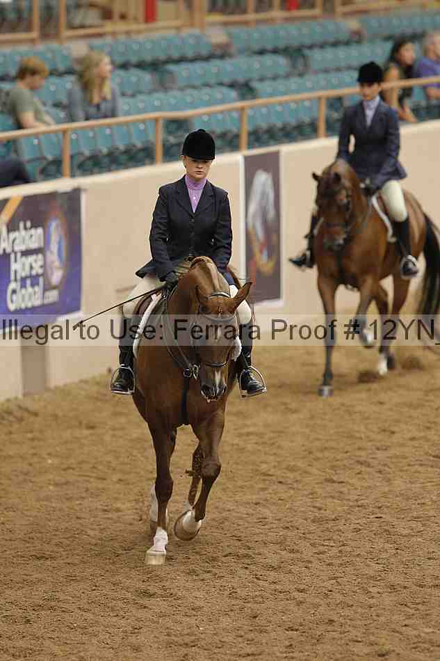 Proof 12yn_09797