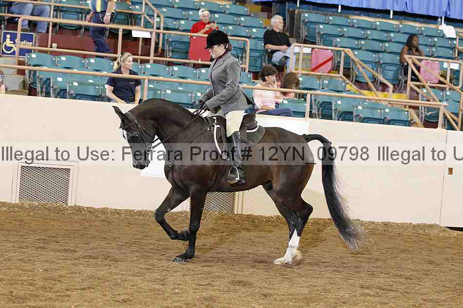 Proof 12yn_09798