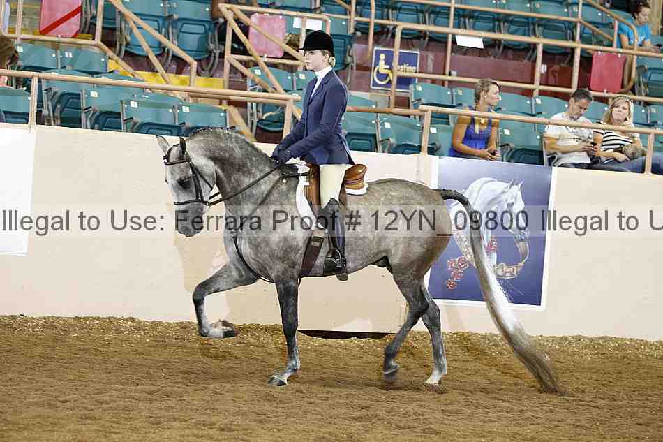 Proof 12yn_09800