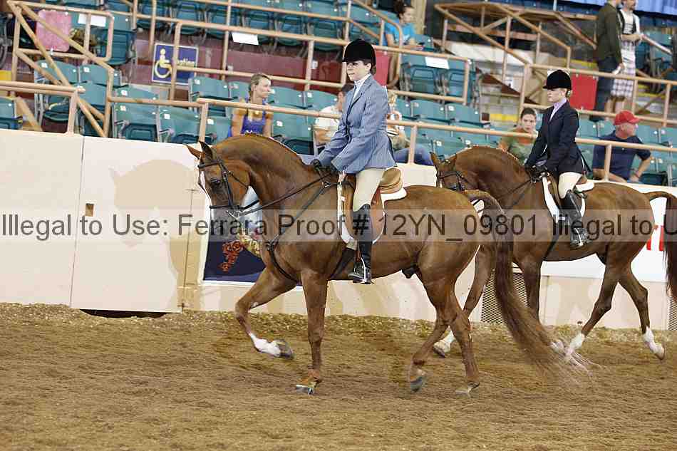 Proof 12yn_09801