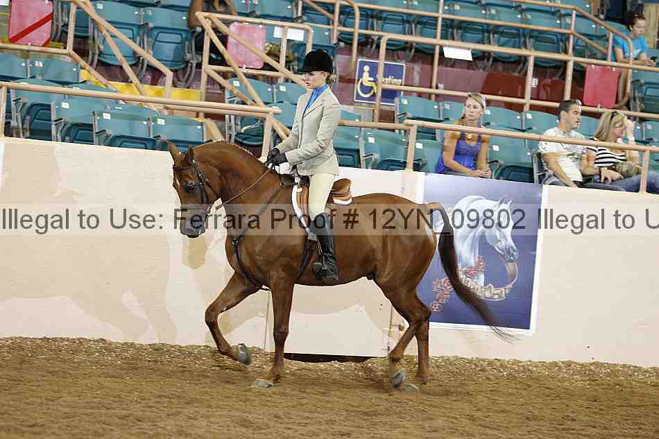 Proof 12yn_09802