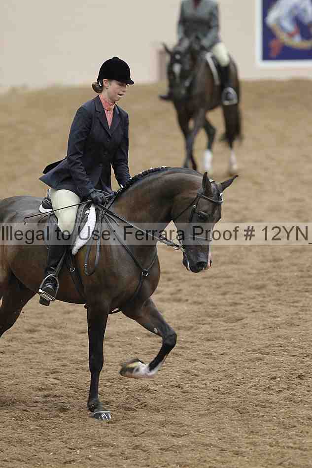 Proof 12yn_09804