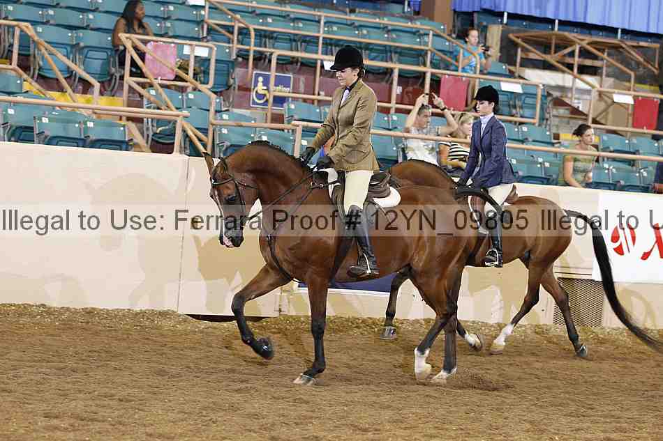 Proof 12yn_09805