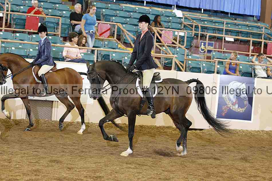 Proof 12yn_09806