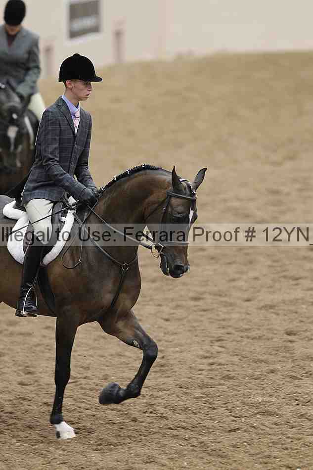 Proof 12yn_09808
