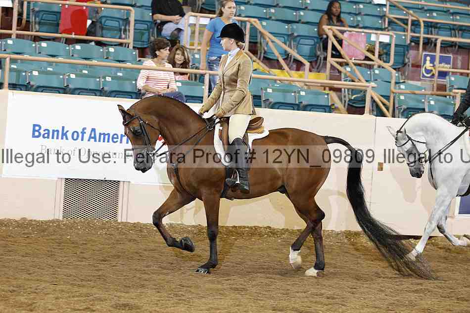 Proof 12yn_09809