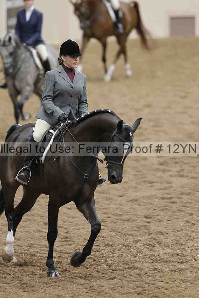 Proof 12yn_09810