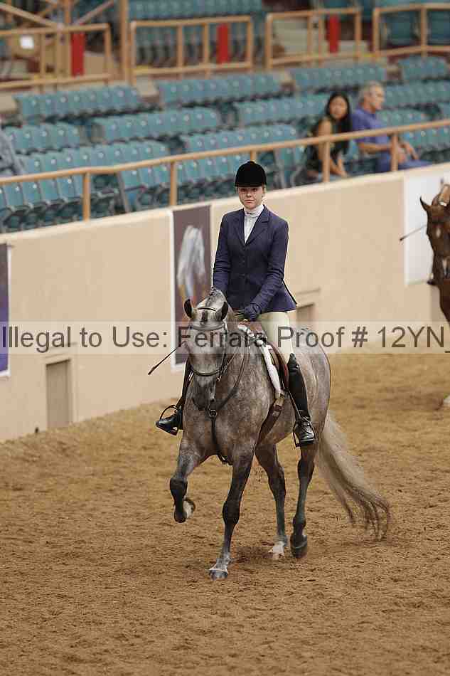 Proof 12yn_09811