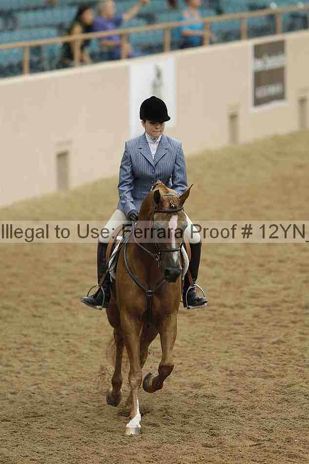 Proof 12yn_09813