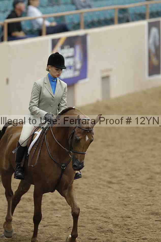 Proof 12yn_09814