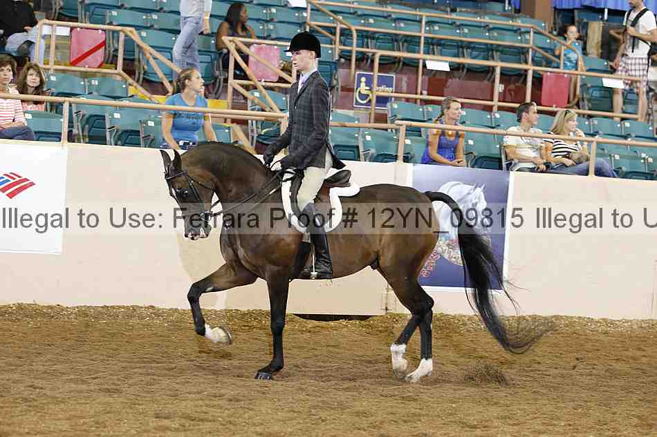 Proof 12yn_09815