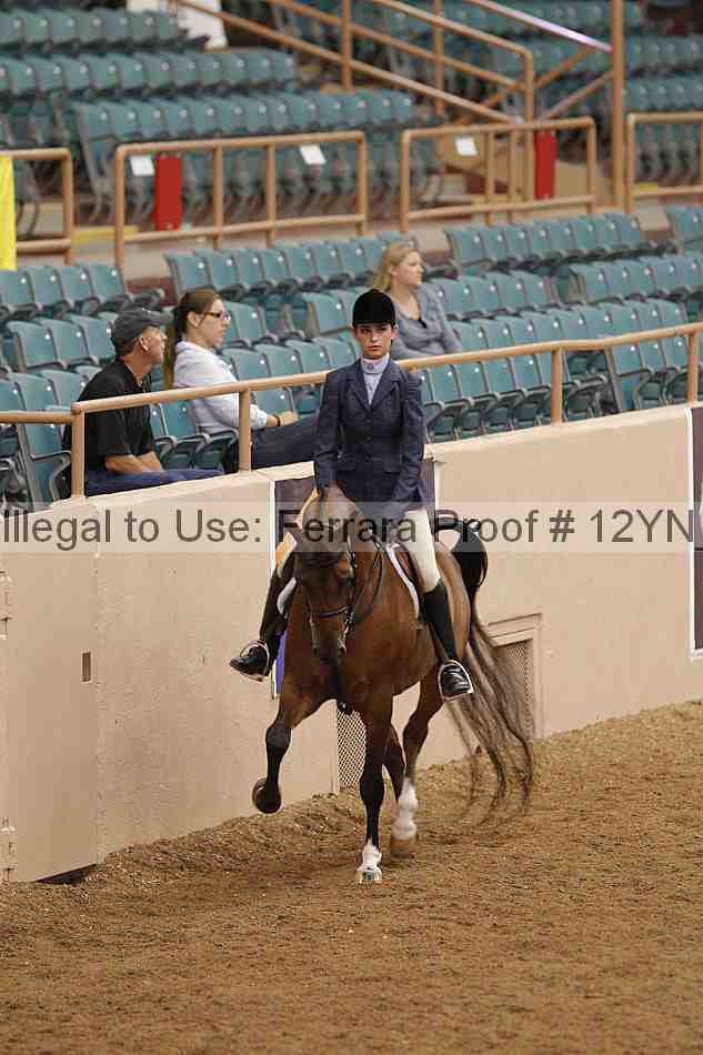 Proof 12yn_09816