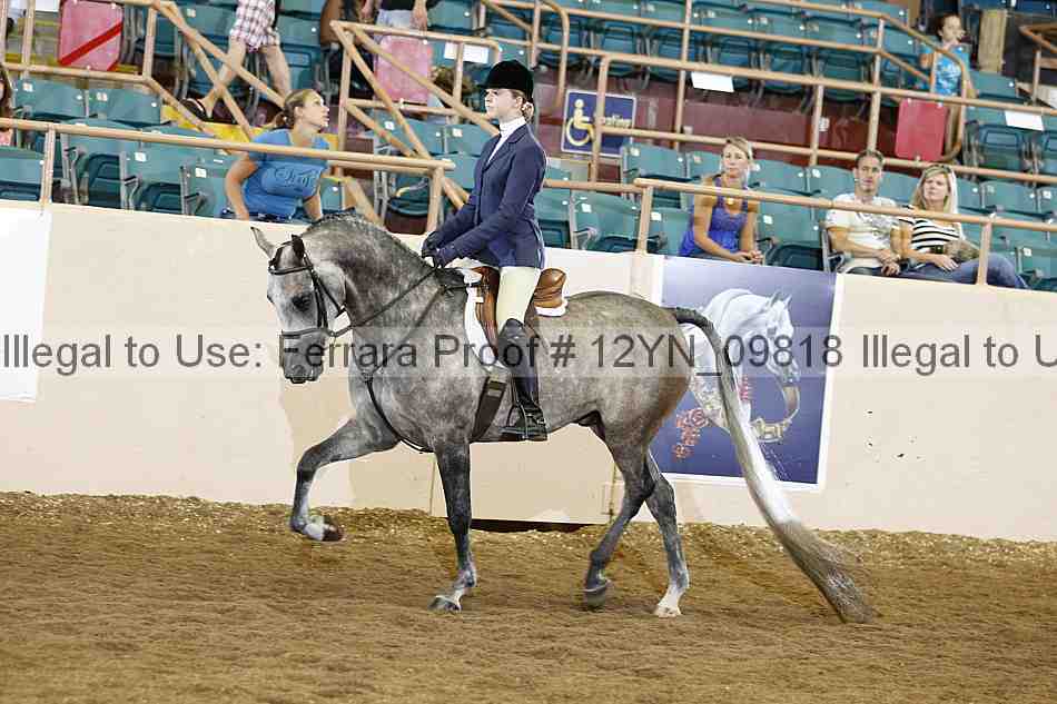 Proof 12yn_09818