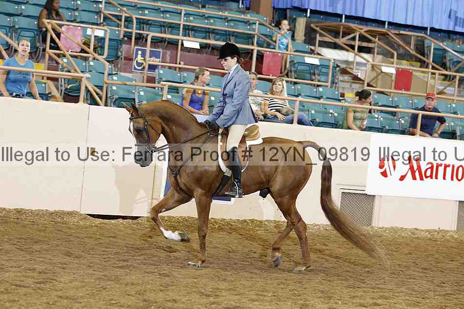 Proof 12yn_09819