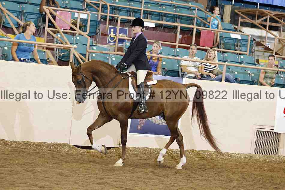 Proof 12yn_09822