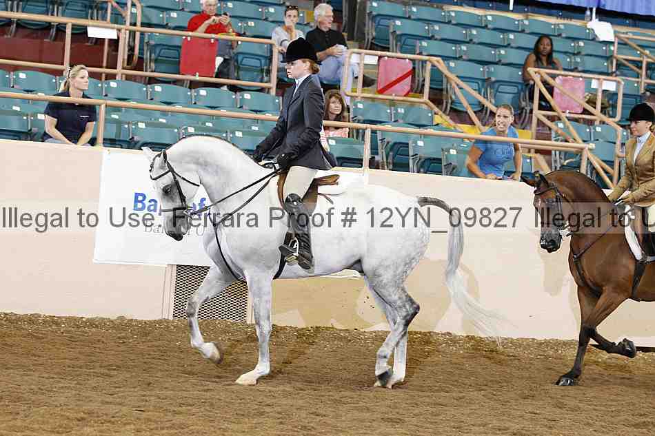 Proof 12yn_09827
