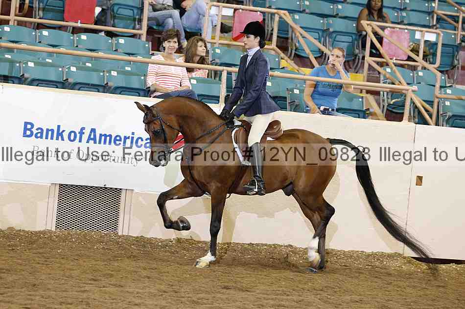 Proof 12yn_09828