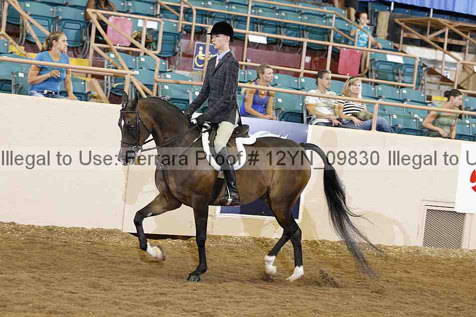 Proof 12yn_09830