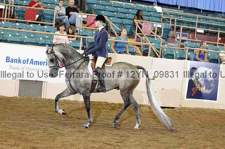Proof 12yn_09831