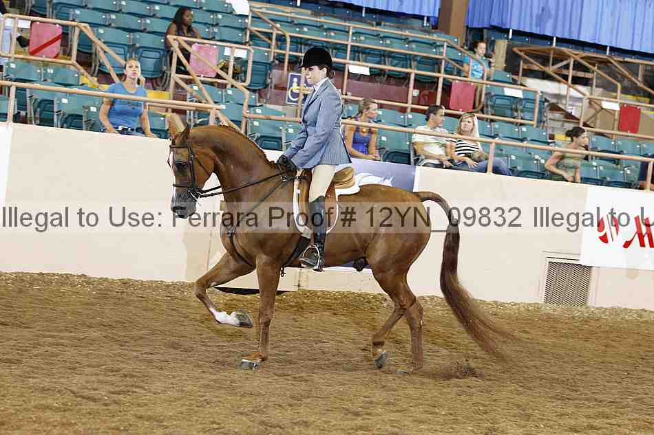 Proof 12yn_09832