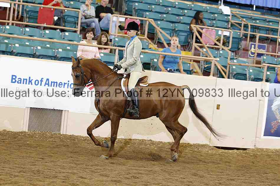 Proof 12yn_09833