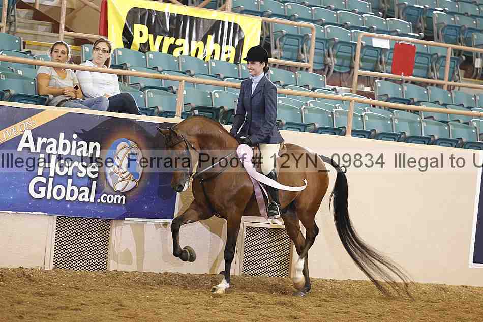 Proof 12yn_09834