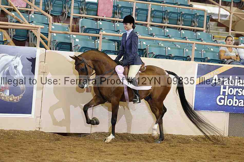Proof 12yn_09835