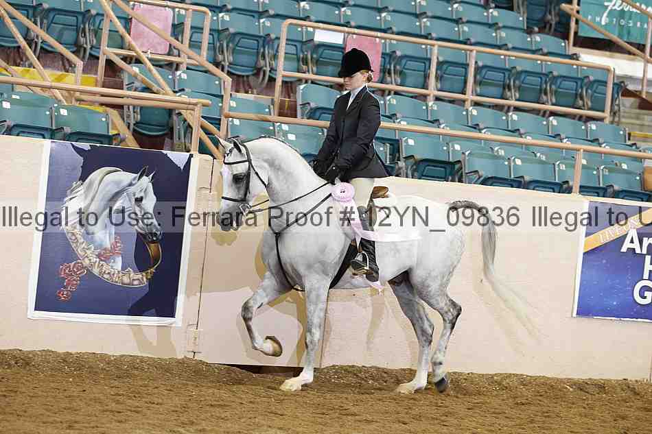 Proof 12yn_09836