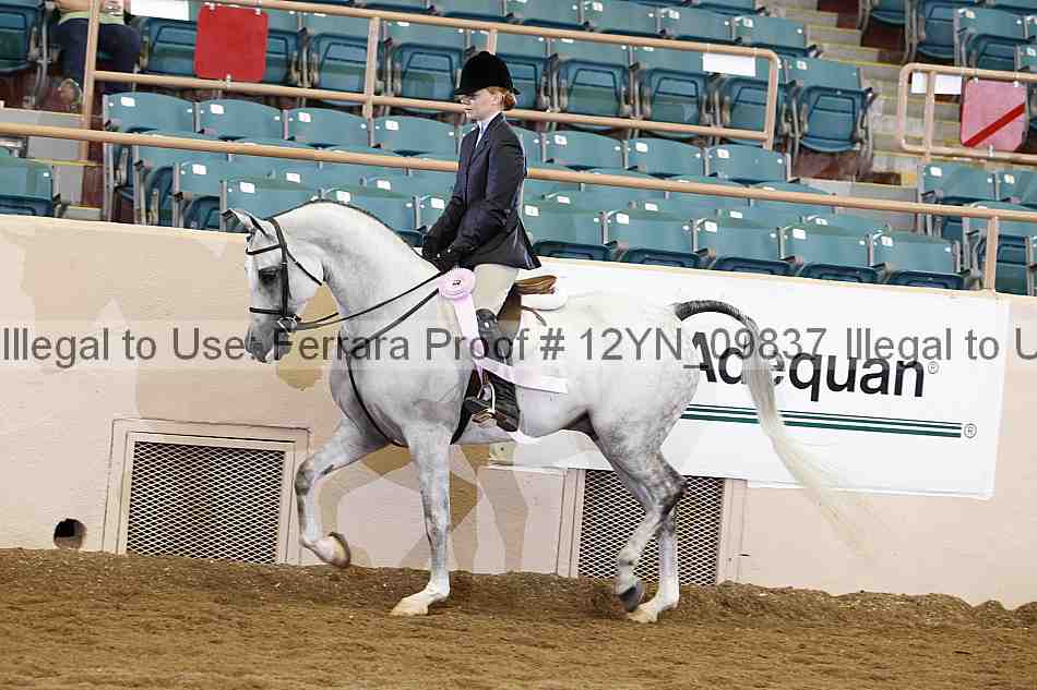 Proof 12yn_09837