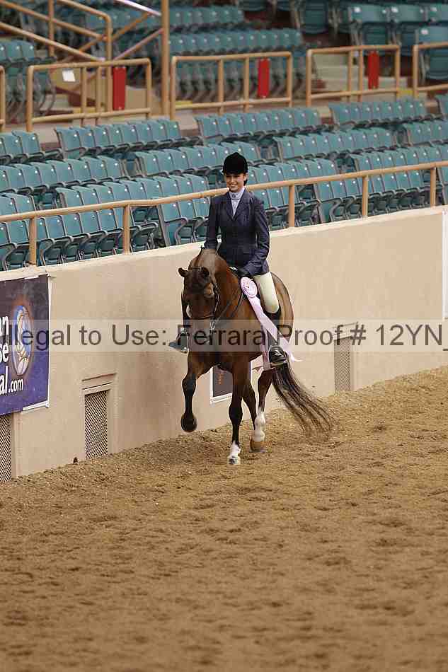 Proof 12yn_09838